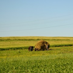Romanian Language Trails - Gabriela