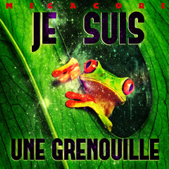 Megacore - Je Suis Une Grenouille Preview [Full track in descritpion]