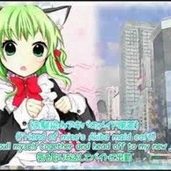 Sorry For Being A Closet Otaku