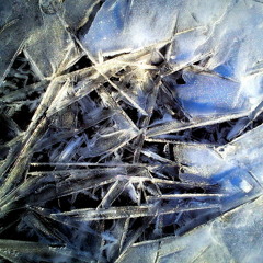 PDV #103 - La Playlist Du Vendredi