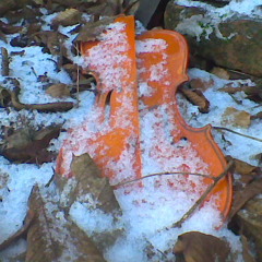 Winter شتا