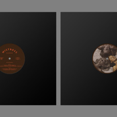 C2. DJ Boris(the real) aka Lord Damien aka Jerome Baker - Track 20 - SNIPPET (MR 5.2)