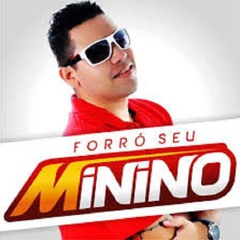 Forro Seu Menino - Eu Volto é Porra (lançamento 2015) (Musica do Carnaval) (AO VIVO)