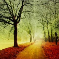 Mechanical Pressure - Take Me With You (Original Mix)