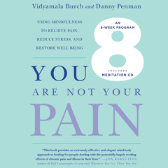 You Are Not Your Pain audiobook - Chapter 1