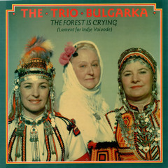 Mari Tudoro - The Trio Bulgarka