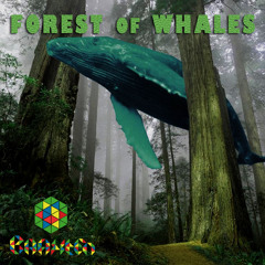 FOREST OF WHALES (live) mixNano controler (no master)