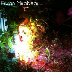 Erwan Mirabeau-Bright Hopes(instrumental)