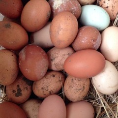 Friday 04:37 PM, 09i15, country music.