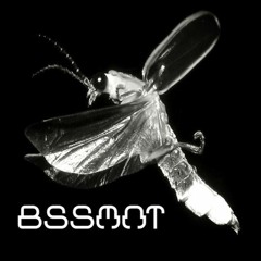 Bassment - Pineal Game