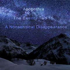 The Twenty Two 15 'A Nonsensical Disappearance'