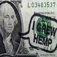 Pro-Marijuana President (disquiet0158-syllablegumbo)