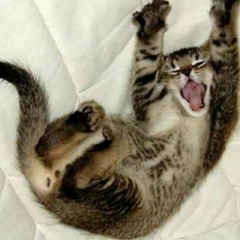 Di Balik Rindu Ada Dusta screamo version by @kolorjingga