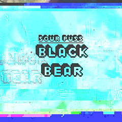 Black Bear