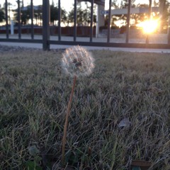 Losing Touch W  My Mind