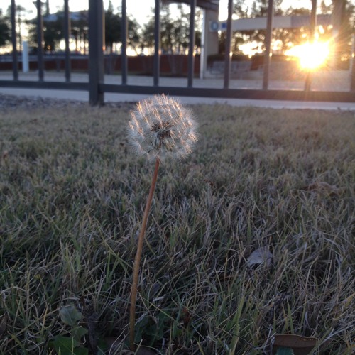 Losing Touch W  My Mind