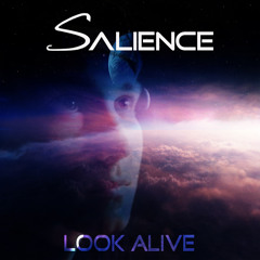 Salience - The Chase