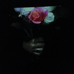 PAPER DOLLHOUSE - Helios (from Aeonflower LSSN029)