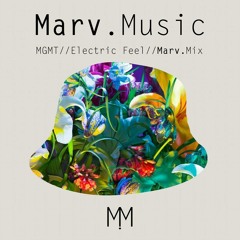 MGMT- Electric Feel - Remix (Marv.Music)