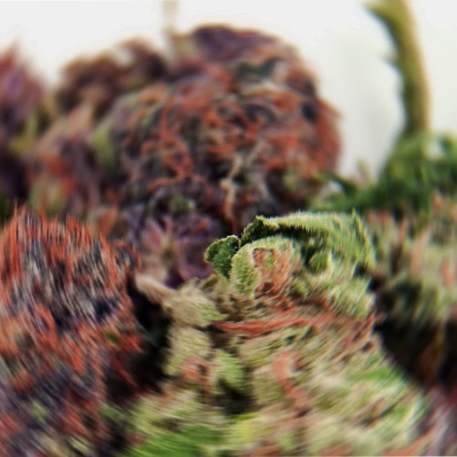 All in the Grinder Guest Mix for DealerDeSons.com