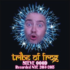 Steve OOOD - Recorded at Tribe of Frog NYE 2014-2015