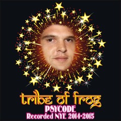 Psycode - Recorded at Tribe of Frog NYE 2014-2015