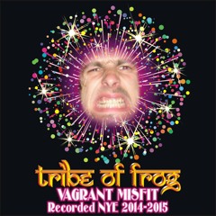 Vagrant Misfit - Recorded at Tribe of Frog NYE 2014-2015