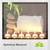 Artwork for Reiki Zen Meditation Music | Relax your Mind and Body | Soothing Music