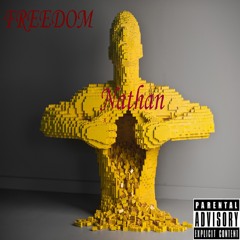 Nathan Avishai - Freedom