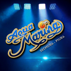 Agua Marina Live Mix Nadie Como Tu - Sirena Del Amor Concierto de Calidad