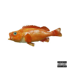Fish & Chips [Prod. By King Lion]
