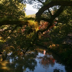[gterma043] : Sean Washburn - A Sacred Voice - Cloud Tree
