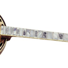 Before Leo Fender Invented the Telecaster, we only had 5-string banjos