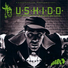 Bushido - Pussy (VBBZS)