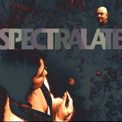 Spectralate - Refugee (instrumental version)