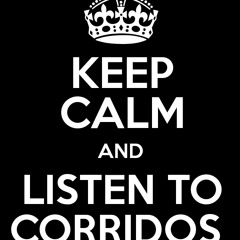 Corridos Con Banda 2015 (DJ Pitufo)