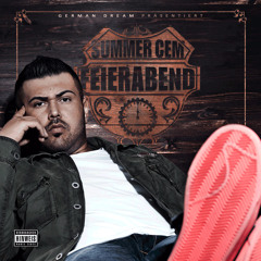 Summer Cem - Fliegenklatsche (Reason Diss)