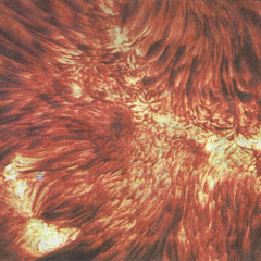 01 Track 01- Give Me Your Love- by Trevor Reid