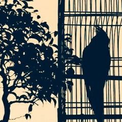 تصنیف غریبانه ، آهنگساز و سر پرست گروه : آرش کامور Arash Kamvar '، شاعر ملک الشعرای بهار ، گروه سروشان ۱۳۹۰ ، صدای محمد معتمدی at Arash kamvar ' gharibaneh