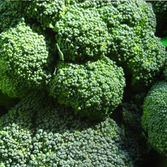 Broccoli (Instrumental)