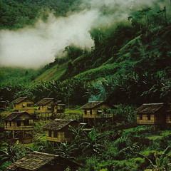 land.