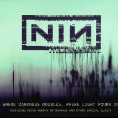 Nine Inch Nails feat. Peter Murphy - Atmosphere