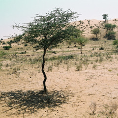 Rajasthan wind turbine - deconstructed