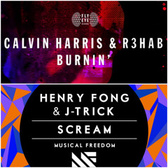 C. Harris & R3hab vs. H Fong - Burnin' Scream (Low & Lee Mashup)