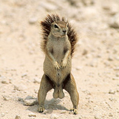 Just Anoth3r Victim prod by AussieOzborn