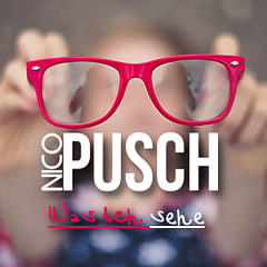 Nico Pusch - Was ich sehe (Original)