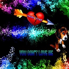 You Don't Love Me by Sandy Star
