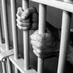 Footsteps and Daiseychains