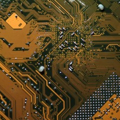 SCP-003: Biological Motherboard