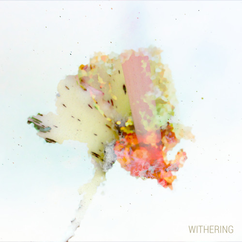 Jacoo - Withering (Original)